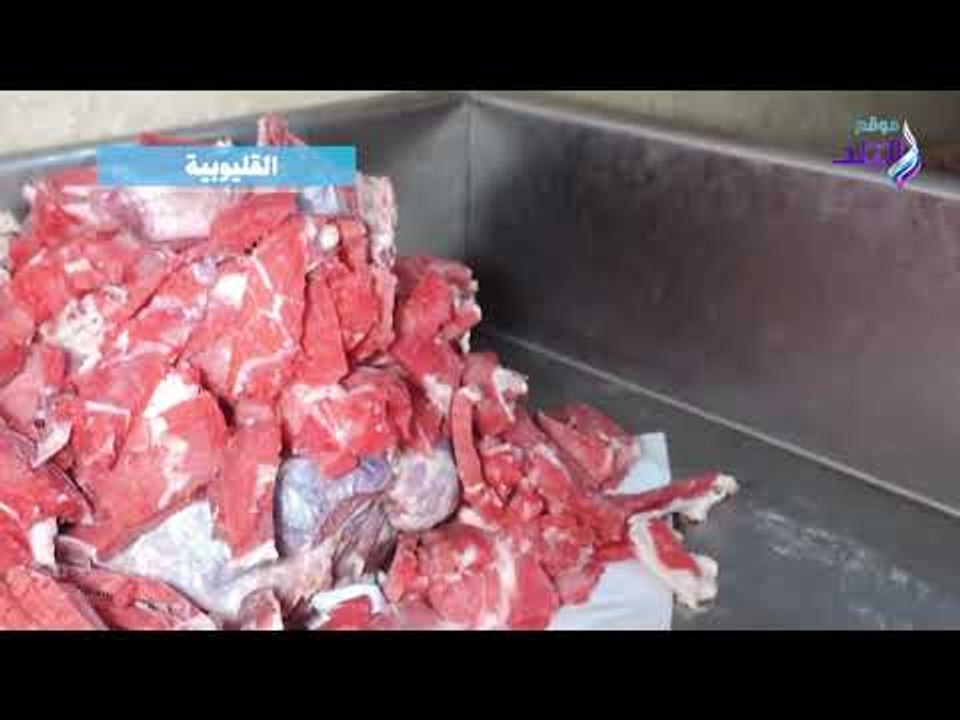 صدي البلد | ضبط أسماك ودواجن فاسدة بالقليوبية و5 طن سكر في سوهاج