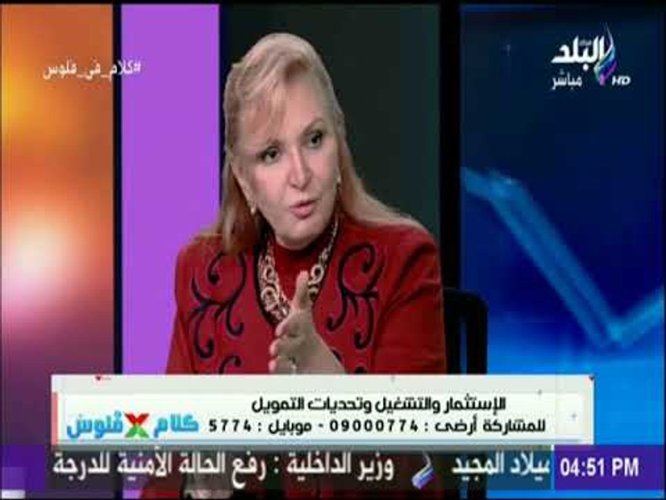 سهر الدماطي: البنك المركزي وضع استراتيجية لتوجي...