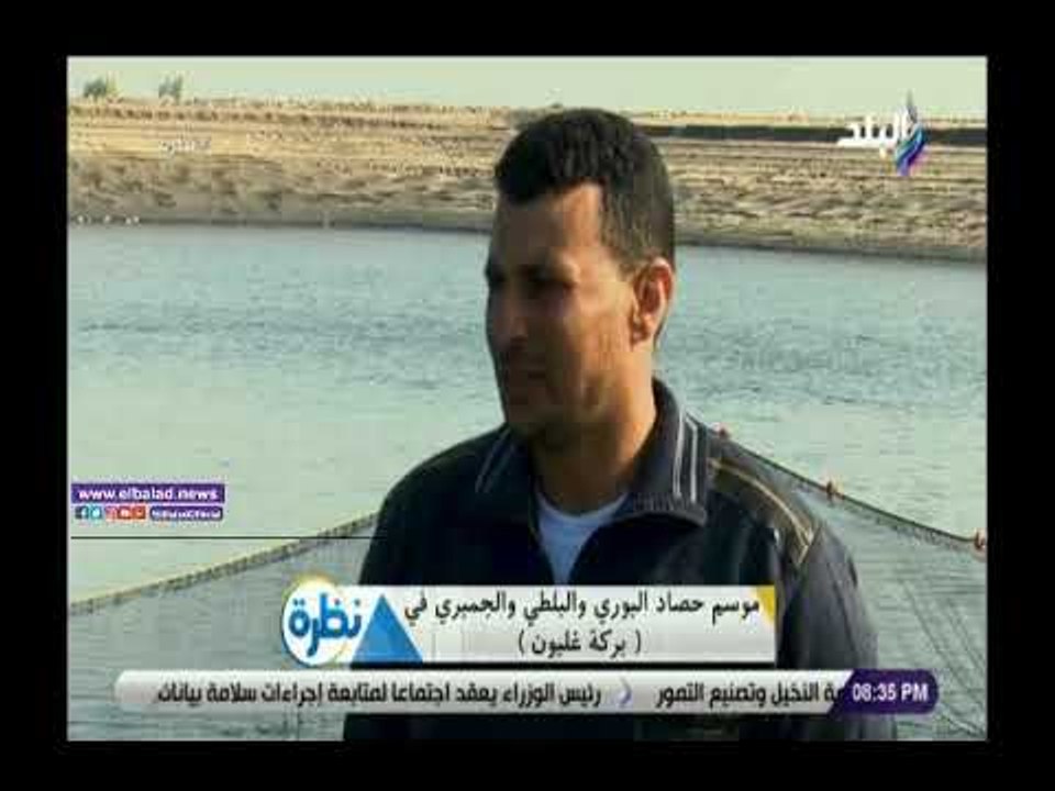 صدى البلد | مشرف صيادين ببركة غليون: تصل وزن ال...