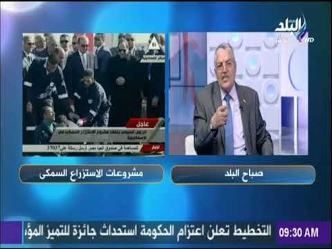 صباح البلد - لقاء خاص مع الدكتور محمد بكير وحديث هام حول المزارع السمكية فى مصر وفائدتها علي البلد
