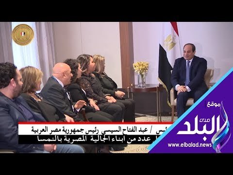 صدى البلد | السيسي يستقبل عددا من أبناء الجالية المصرية في النمسا