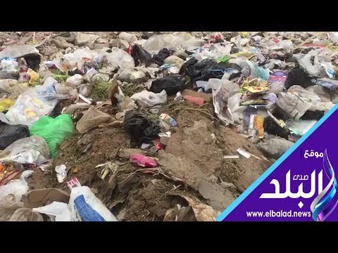 صدي البلد | أهالى المطرية يشكون من انتشار القمامة