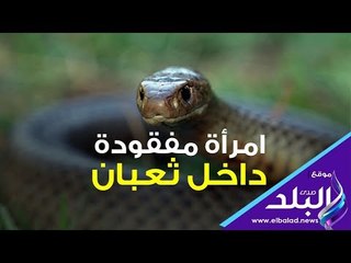 صدى البلد | امرأة مفقودة داخل ثعبان