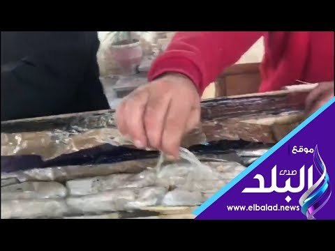 صدي البلد | إحباط محاولة تهريب ٣٧ ألف قرص مخدر لدولة عربية