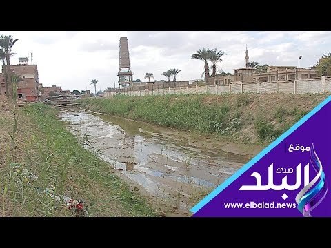 صدي البلد | المخدارات والكلاب الضالة شعار العزبة البحرية بحلوان