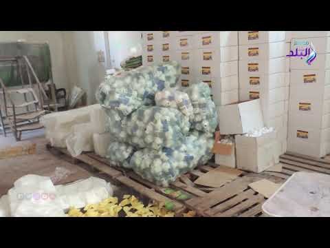 صدى البلد | ضبط 65 طن أسمدة زراعية مجهولة المصدر داخل مصنعين في المنوفية