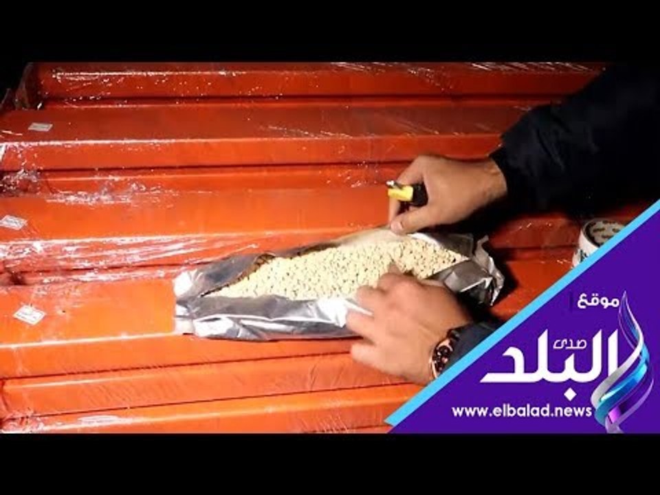 صدى البلد | ضبط حاوية قادمة من إحدى الدول العرب...