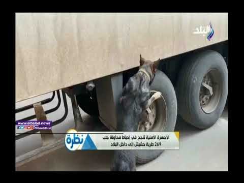 صدى البلد | الداخلية تحبط محاولة تهريب 269 طربة حشيش..فيديو