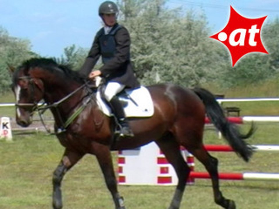 Dominik Weber, Springreiten, Burgenland (2007-025)