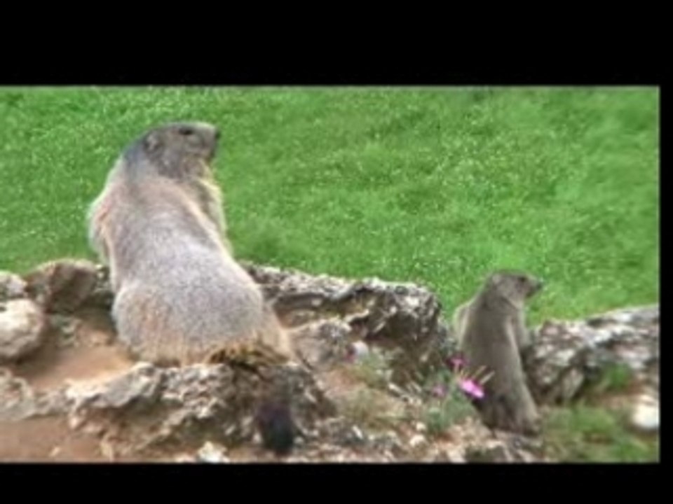 Morgon a location Serre-Poncon hautes-alpes Savines le lac