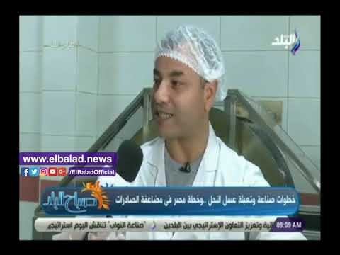 صدى البلد | تعرف على أنواع عسل النحل.. البرسيم والبرتقال اشهرهم