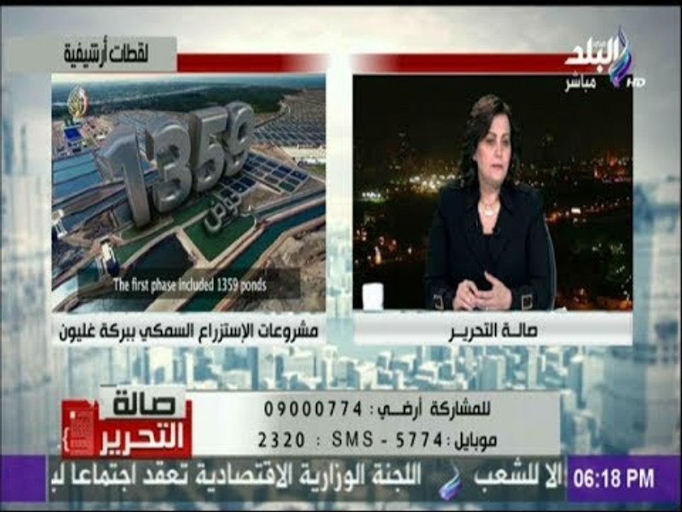 صالة التحرير - نائب وزير الزراعة: أعمال تطوير وتطهير لبحيرة المنزلة لزيادة كفاءة الانتاج السمكى