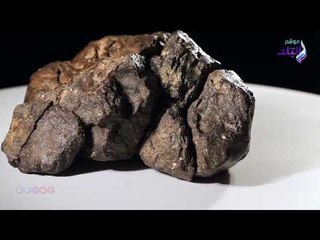 أغرب المزادات في عام 2018