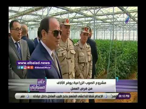 صدي البلد | أحمد موسى: تكلفة مشروع الصوب الزراعية 60 مليار جنيه على الأقل