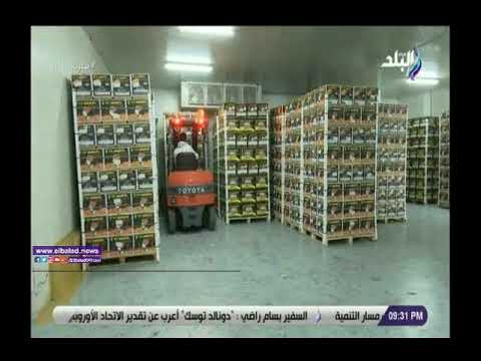 صدى البلد | حمدي رزق: الأسواق الأسيوية تستورد م...