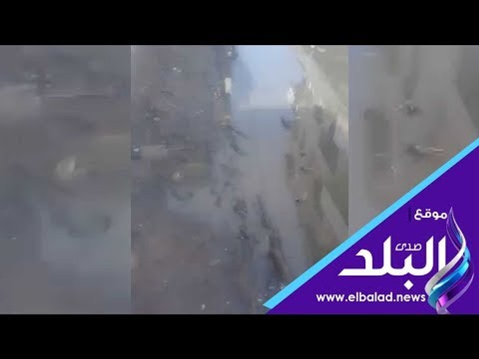 صدى البلد | أهالى قرية شوكة بدمنهور يغرقون فى مياه الصرف الصحى