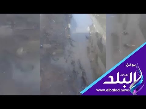 صدى البلد | أهالى قرية شوكة بدمنهور يغرقون فى مياه الصرف الصحى