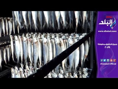 صدى البلد | الداخلية تضبط 70 طن سكر مدعم و120 قضية تموينىة