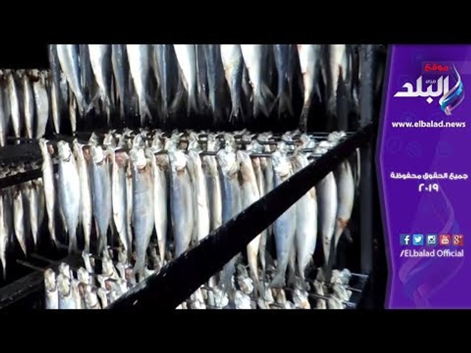 صدى البلد | الداخلية تضبط 70 طن سكر مدعم و120 ق...