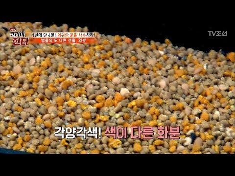 벌들의 또 다른 선물, 화분! [뉴 코리아 헌터] 52회 20170529