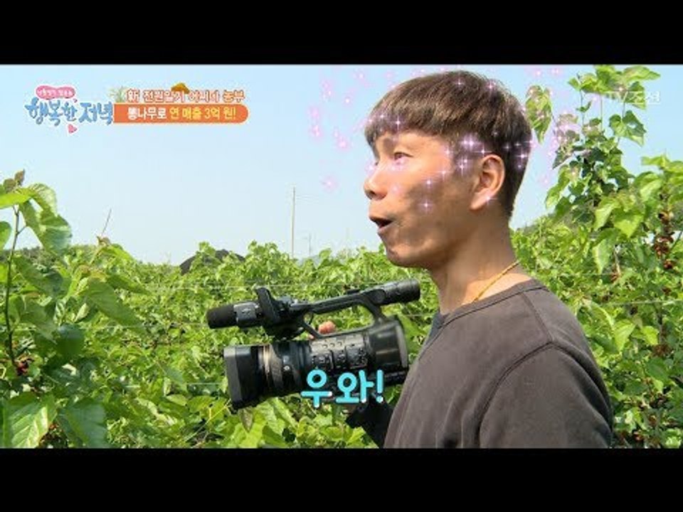 뽕나무로 연매출이 3억원이나 된다?! [행복한 저녁] 33회 20170601