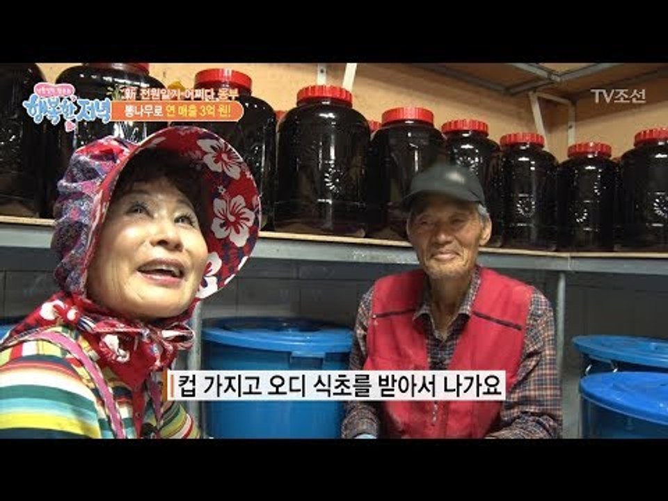 건강에도 좋은 오디식초와 진액! [행복한 저녁] 33회 20170601