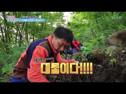 진시황의 불로초! 대물 하수오 발견! [행복한 저녁] 31회 20170530