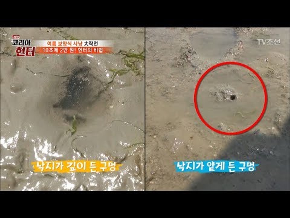 낙지를 빨리 잡는 헌터의 비법은? [뉴 코리아 헌터] 53회 20170605