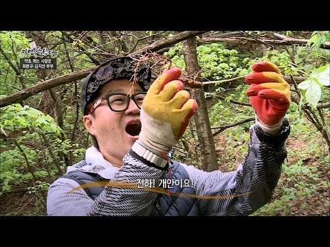 대박! 15년 된 산삼을 찾은 지상렬! [자연愛산다] 7회 20170530