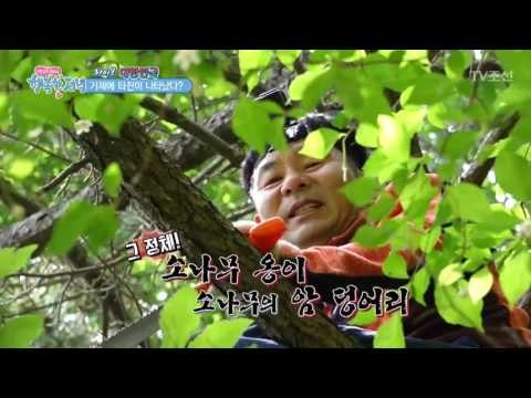 거제에 실존하는 타잔?! [행복한 저녁] 31회 20170530