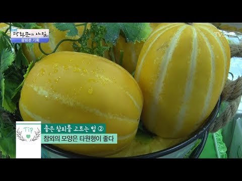 제철 맞은 과일, 참외! 잘 알고 사자! [광화문의 아침] 495회 20170605