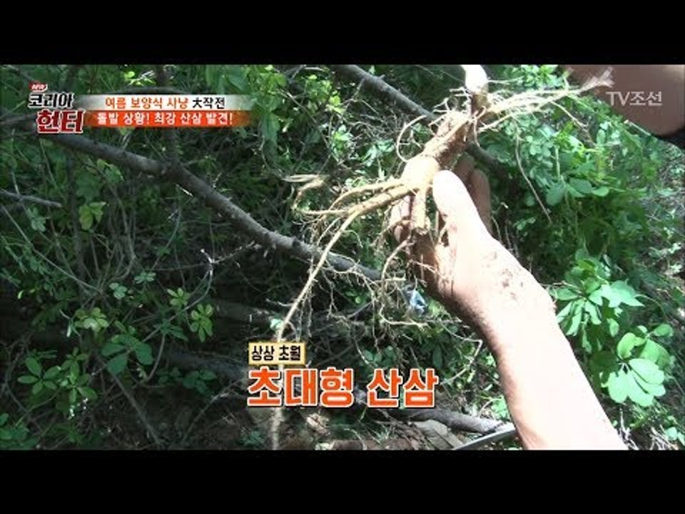 돌발 상황! 20년 된 초대형 산삼 발견한 헌터! [뉴 코리아 헌터] 53회 2017...