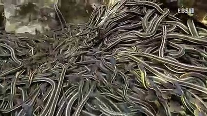 광주출장안마 -여대생！Ø7Øh5222a78Ø2{톡문의DKS798}광주전지역출장마사지광주출장안마'광주출장마사지황형'출장안마'ŁØŒ출장오피'출장마사지'콜걸