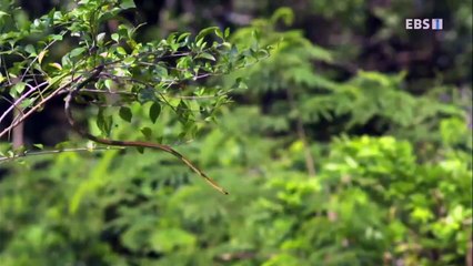 세종출장안마 -여대생！Ø7Øh7575dØØ69【문의톡MGM1472】세종전지역출장마사지세종출장안마'세종출장마사지황형'출장안마'ħłø출장오피출장오피