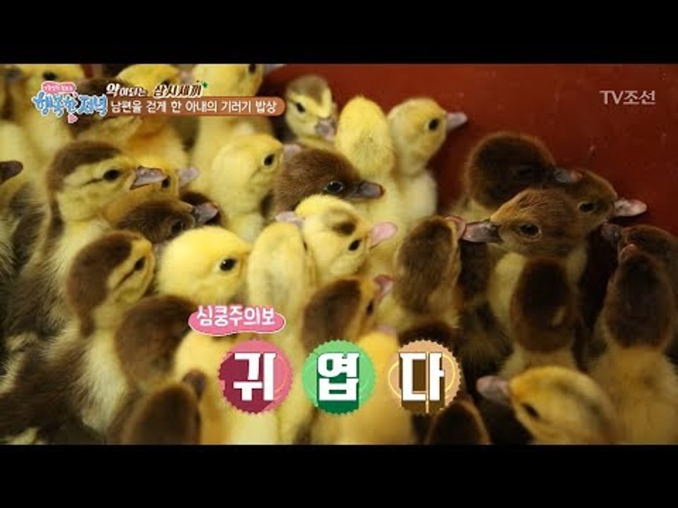 심쿵! 기러기 새끼가 건강의 비법? [행복한 저녁] 41회 20170613