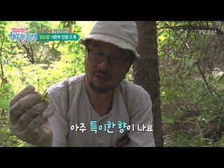산에서 살자 암이 완치되었다! [행복한 저녁] 35회 20170605