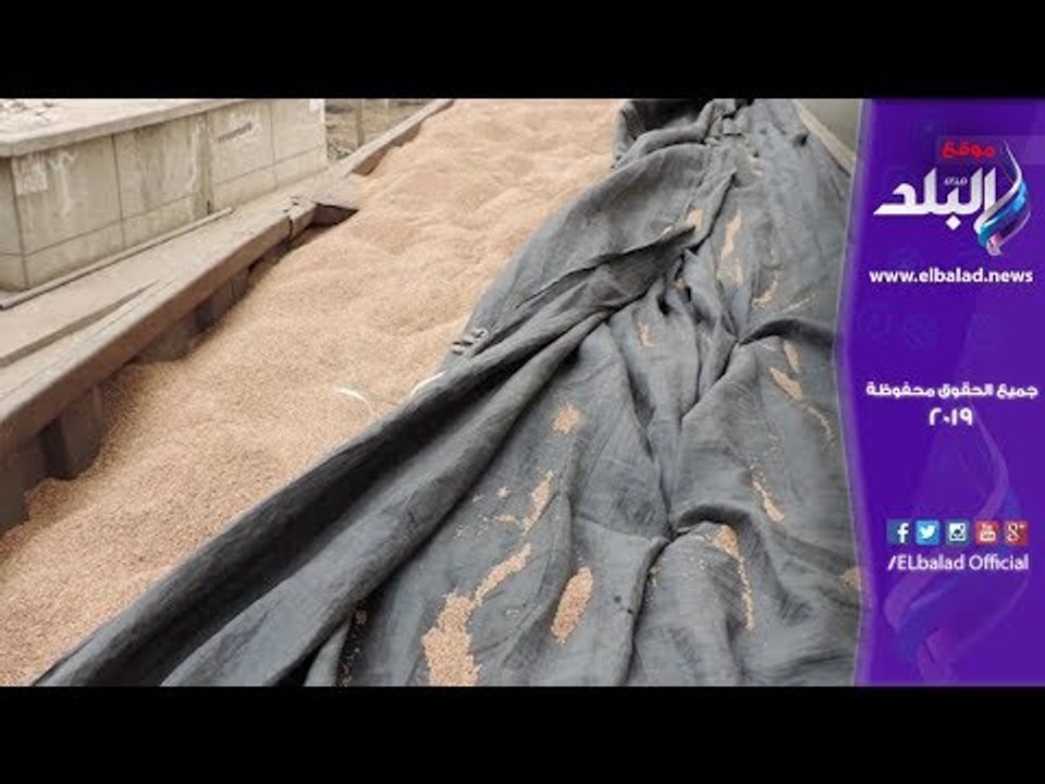 صدى البلد | ضبط قائد سيارة نقل بمقطورة لقيامه بالاستيلاء على 41 طن قمح