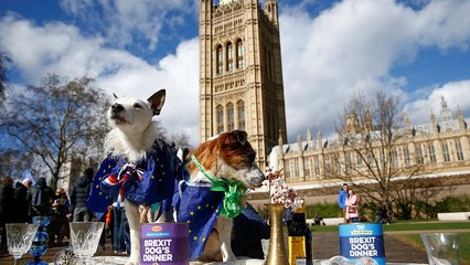 Brexit : semaine cruciale pour l'avenir du Royaume-Uni