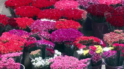 Çiçek sektörü, İngilizlerin Anneler Günü'ne hazırlanıyor - ANTALYA