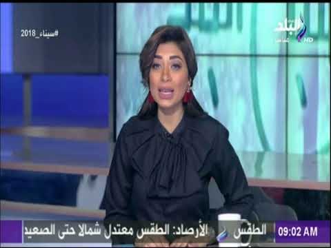 عماد الدين أديب يكتب.. «هل نعيش حالة من الغباء الانتحارى؟» | صباح البلد