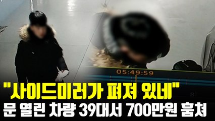 [현장] "사이드미러가 펴져 있네"…문 열린 차량 39대서 700만원 훔쳐