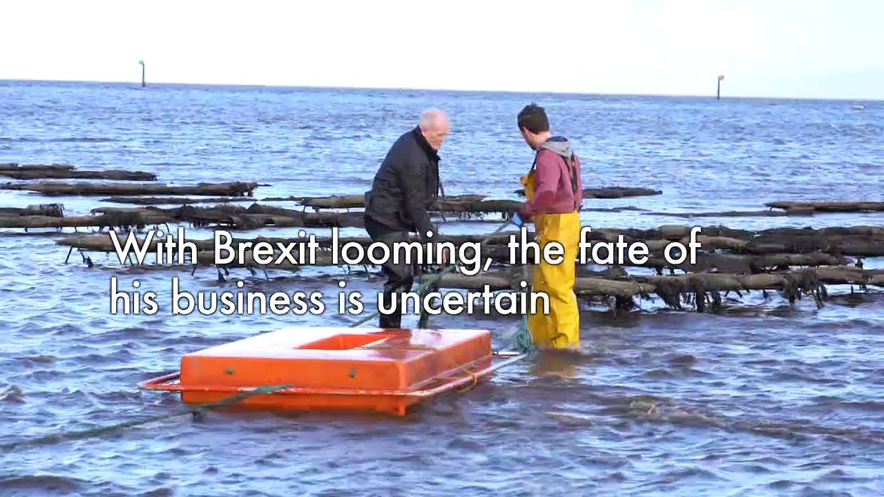 Oyster farmer frets over Brexit in Irish grey area