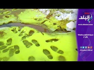 صدي البلد | الجليد الأخضر يصيب روسيا