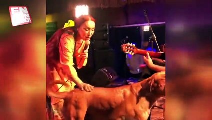 Leman Sam ile düet yapan sokak köpeğini zehirlediler