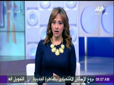 صباح البلد - هند النعساني: مصر أصبحت نموذج يحتذى به فى العالم في القضاء تماما على فيروس سى