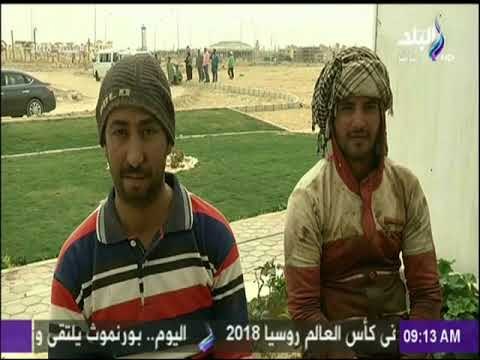 صباح البلد - تسليم شهادات امان للعمالة المؤقتة