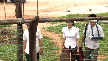 Khi Tình Yêu Lên Tiếng - Tập 25 - Phim Việt Nam