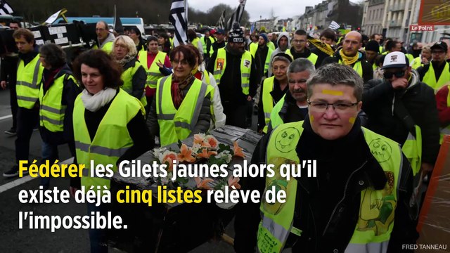 Gilets jaunes : Ingrid Levavasseur ne présentera pas de liste aux européennes