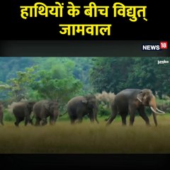 जंगल में हाथियों के साथ भागते दिखे विद्युत जामवाल