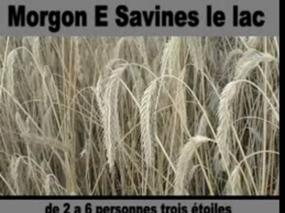 Morgon E Location Hautes-alpes Serre-Poncon Savines le lac